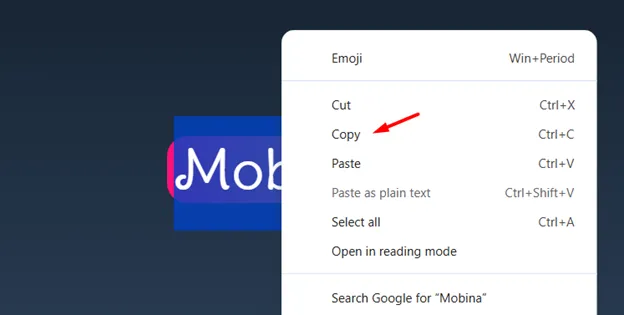 بهترین فونت اسم برای طراحی | راهنمای انتخاب زیباترین فونت های فارسی و انگلیسی